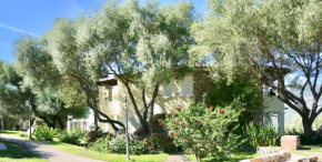 Apartments in residence with swimming pool in Porto Rotondo Porto Rotondo